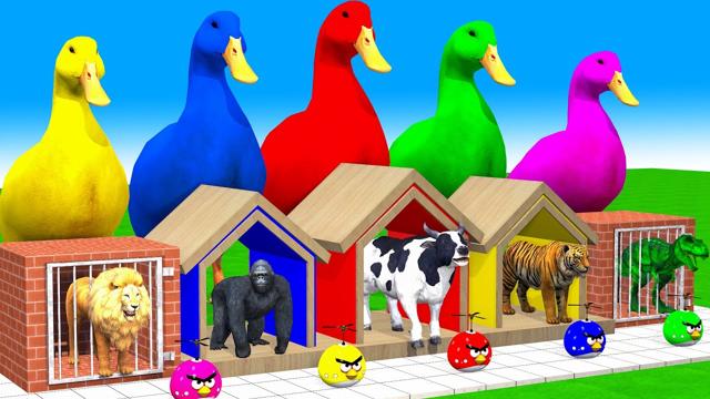 Colorful Animals Escape Challenge and Mystery Doors