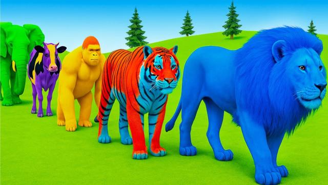 Colorful Animals and Giant Jelly Slides