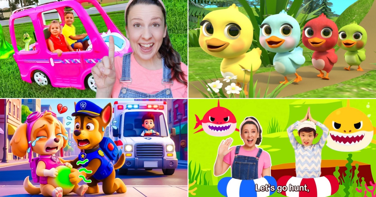 Rainbow Animal Playground Adventures