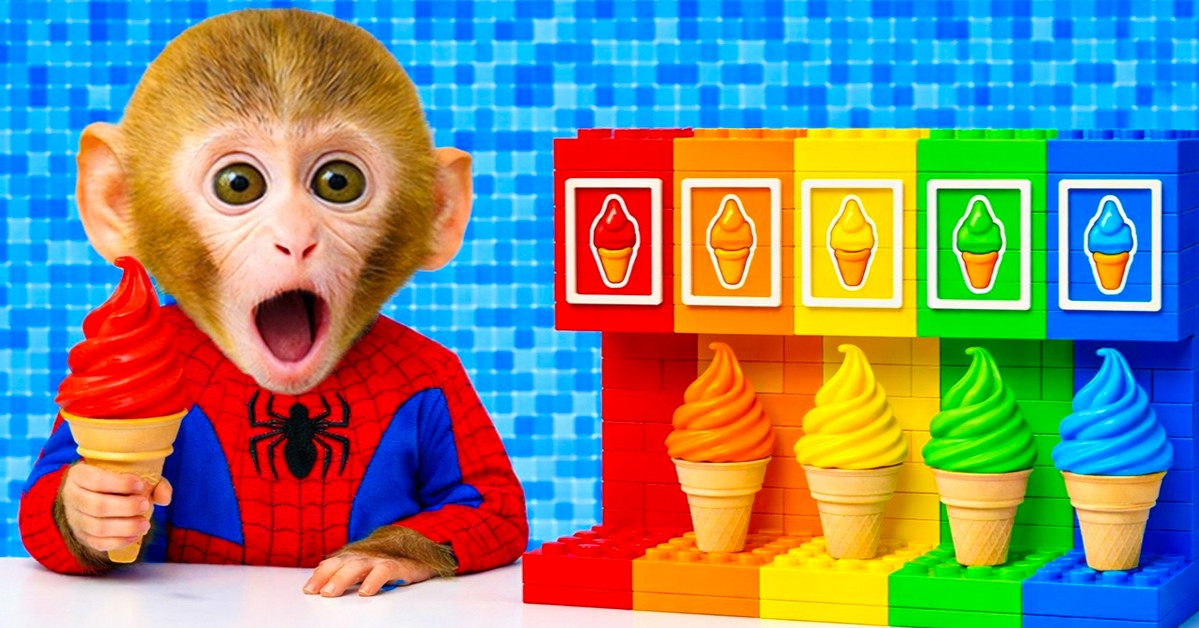 Rainbow Animal Playground Adventures