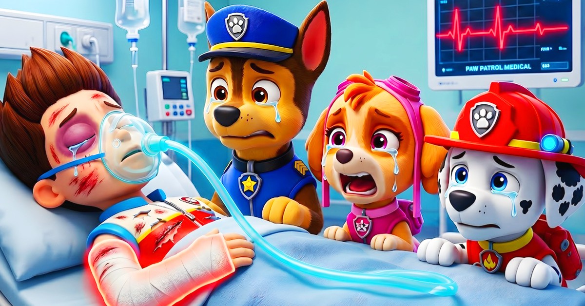 Talking Tom's City and Snow Adventure